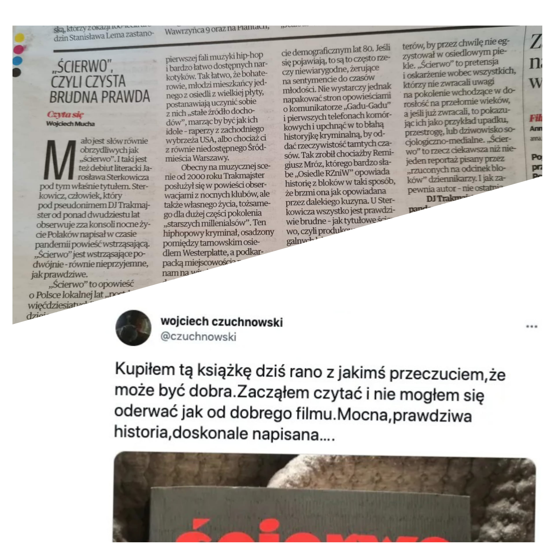 Scierworekomendacje